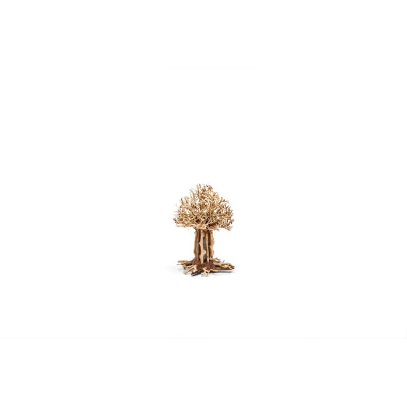 UNS Bonsai 007