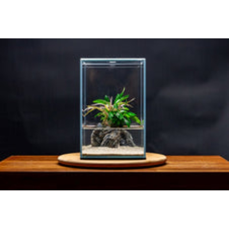 UNS Prism Rimless Tank
