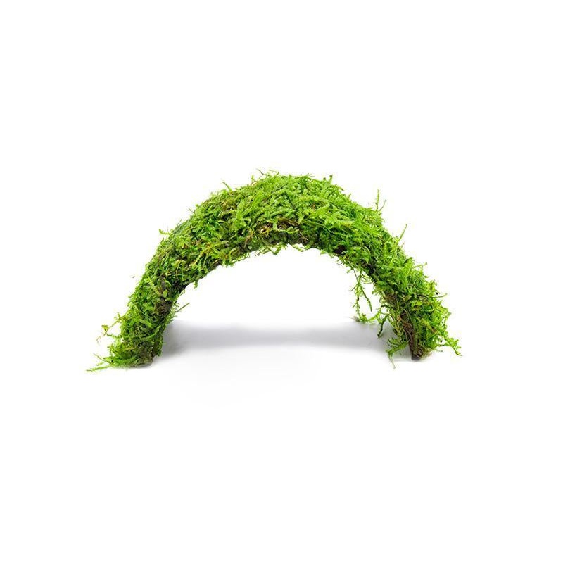 Christmas Moss on Coconut Shell Bridge