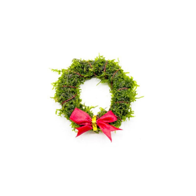 Christmas Moss Wreath