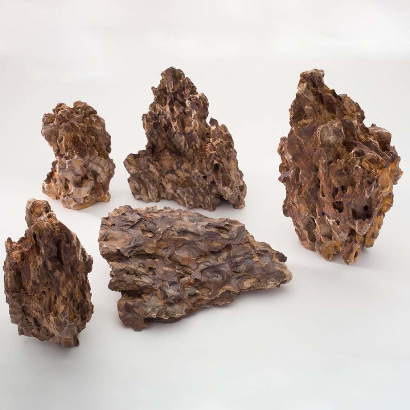Dragon Stone Freshwater Rock