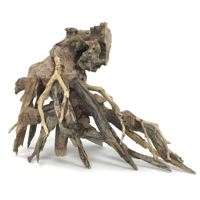 Octopus Wood - Approx. 6 x 4 x 8