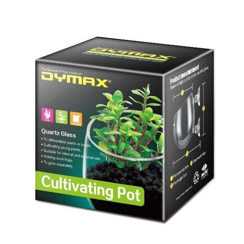 Dymax Crystal Cultivating Pot - Glass Planter