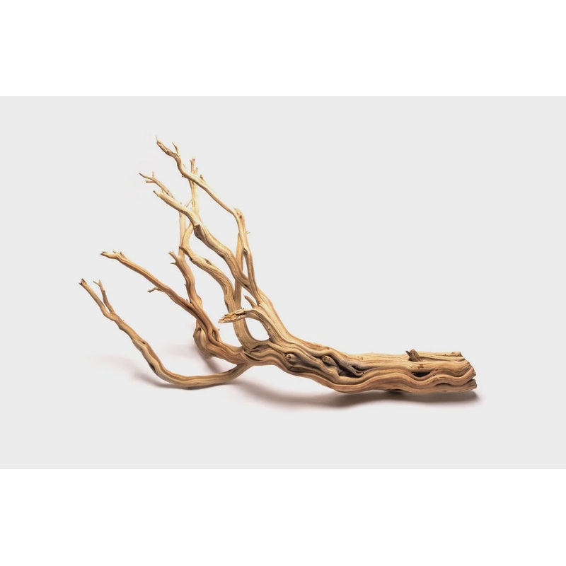 GHOSTWOOD