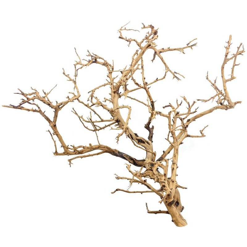 Tiny Ramous Wood 14-18 - Driftwood Branches