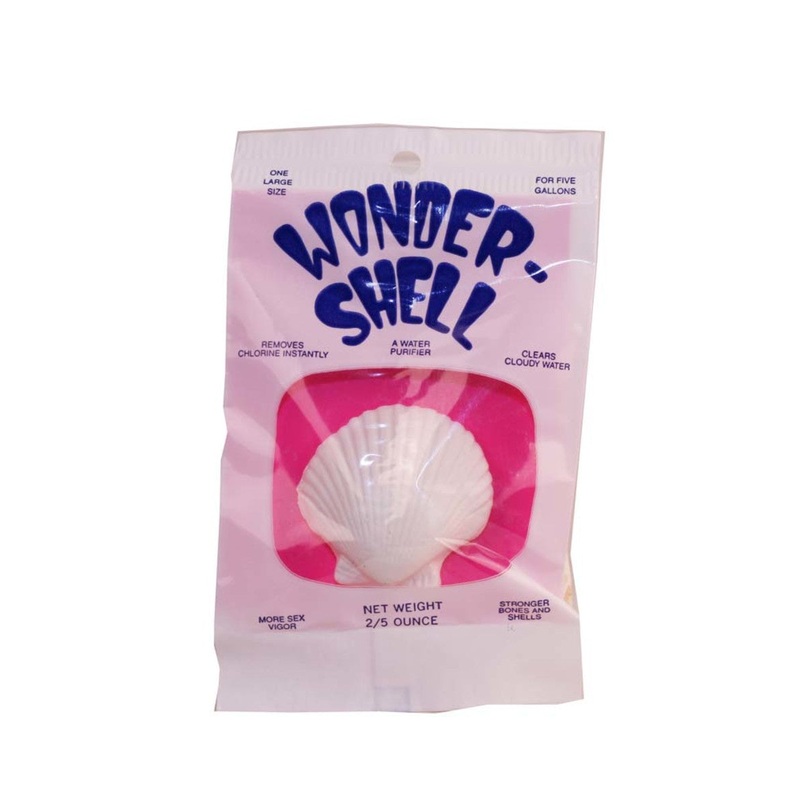 Wonder Shell-Large