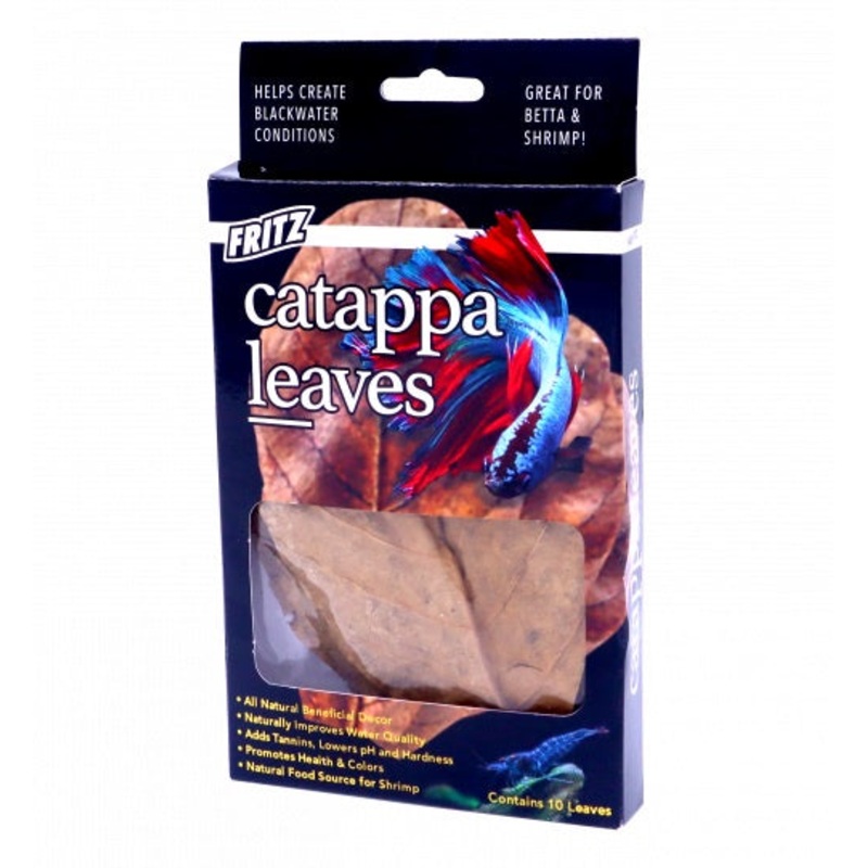 Catappa Leaves - 10 count
