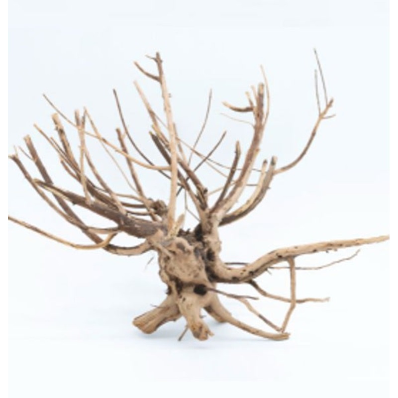 Pine Root Medium