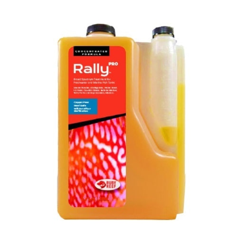 Rally Pro
