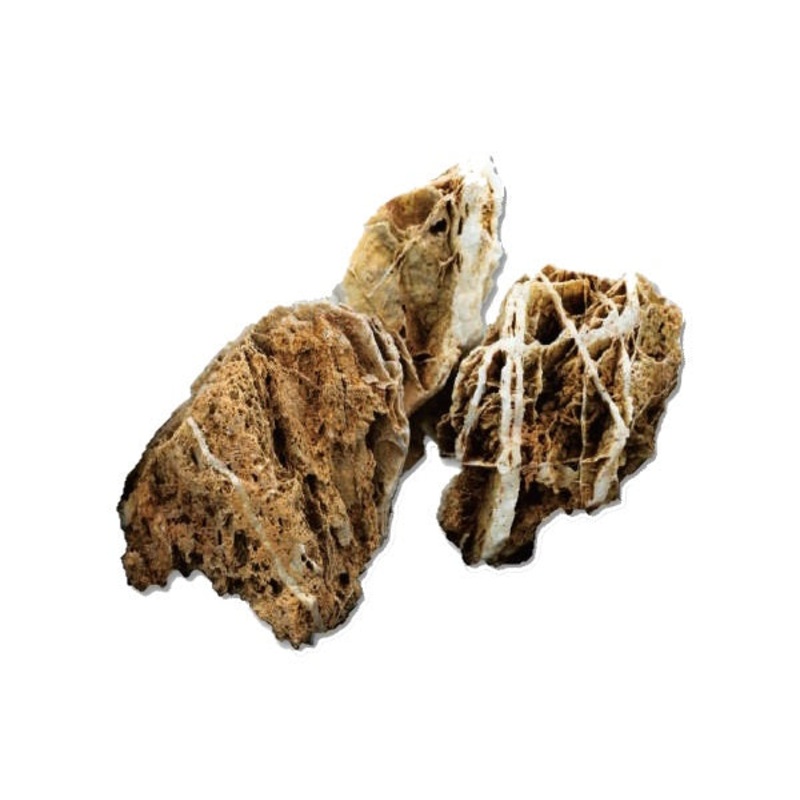 Chicken Bone Stone