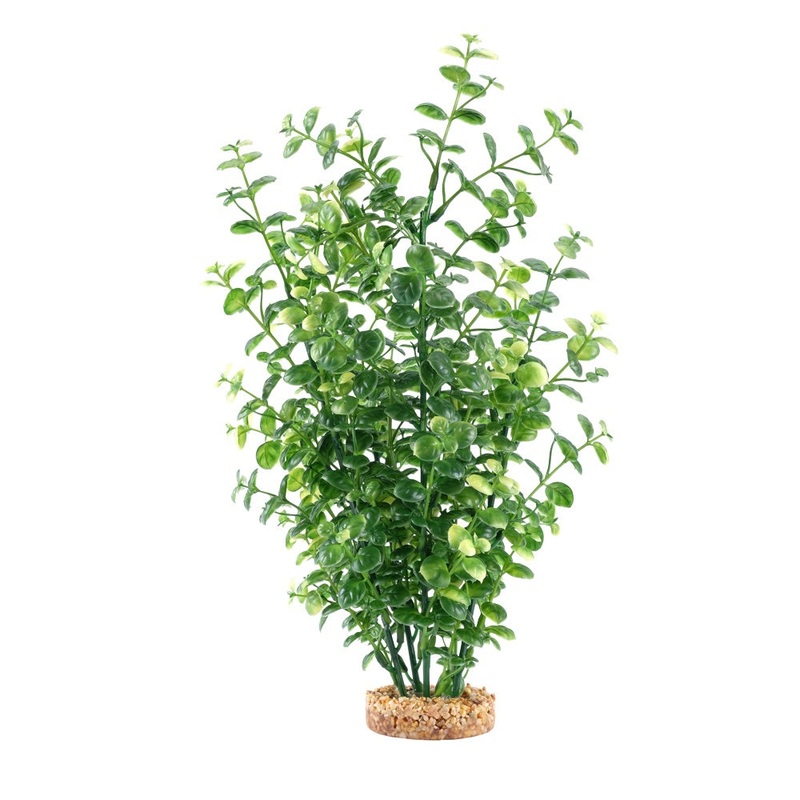 Fluval Green Bacopa Plant 14in