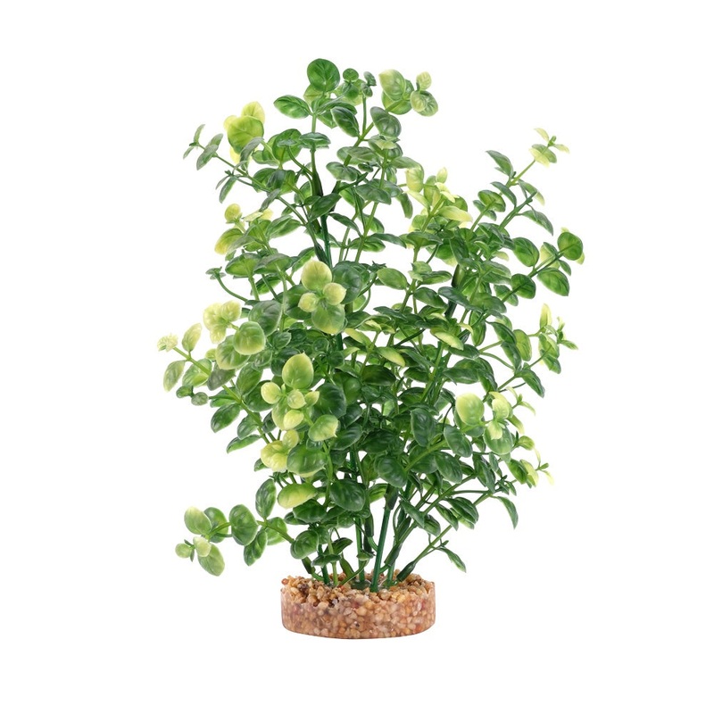 Fluval Green Bacopa Plant 8in