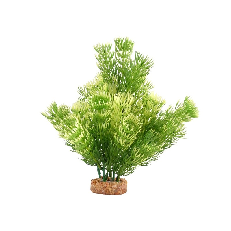 Fluval Green Cabomba Plant 8in