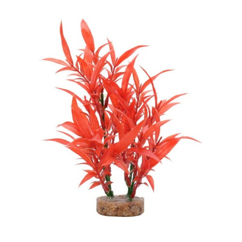 Fluval Intense Red Hygrophilia Plant 8in