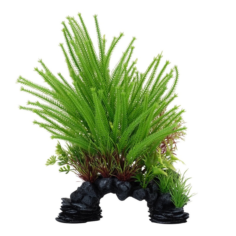 Fluval Princess Pine Plant Mix 10in