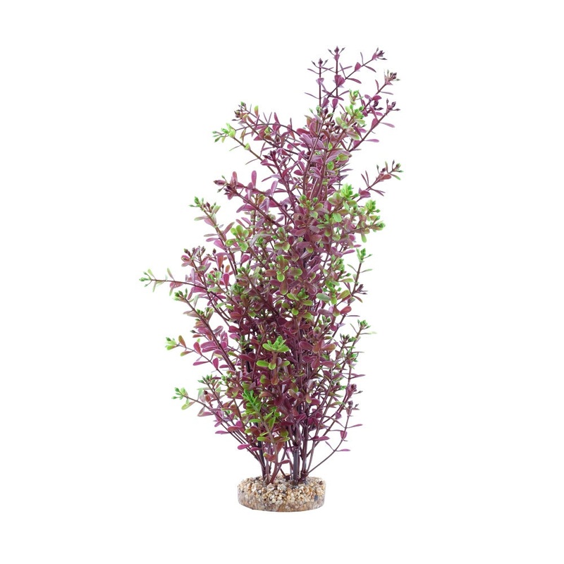 Fluval Red Rotala Plant 10in