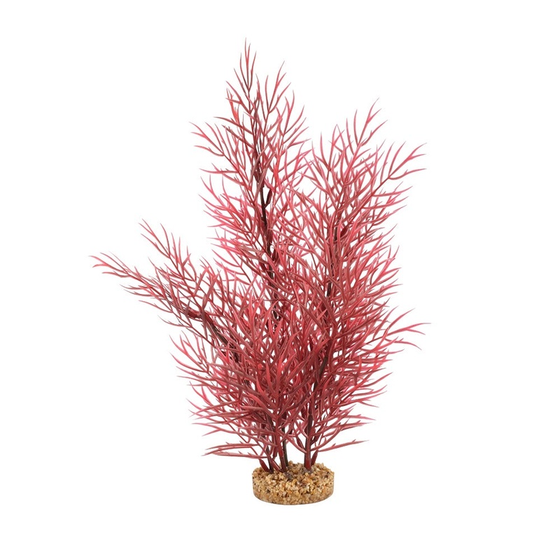 Fluval Scarlet Eichornea Plant 14in
