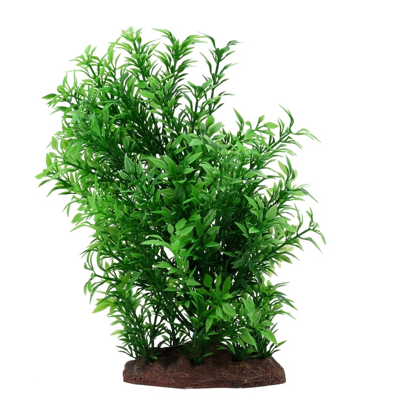 Fluval Small Helzine Plant 8in