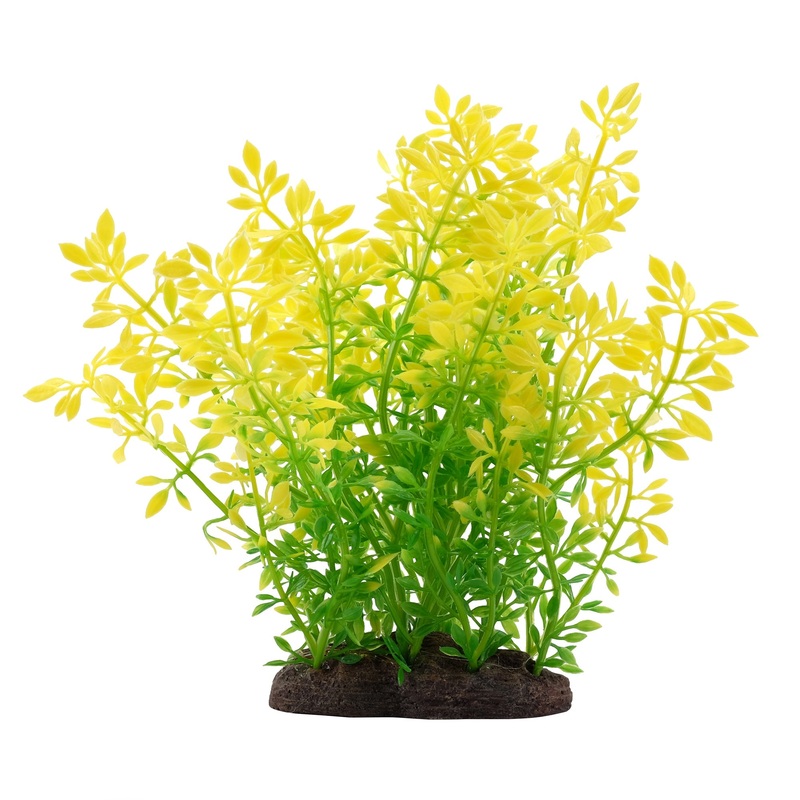 Fluval Sunrise Water Violet Plant 8in