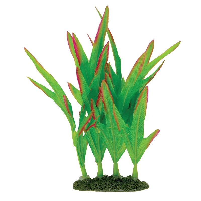 MA Nat Green Foreground Plant