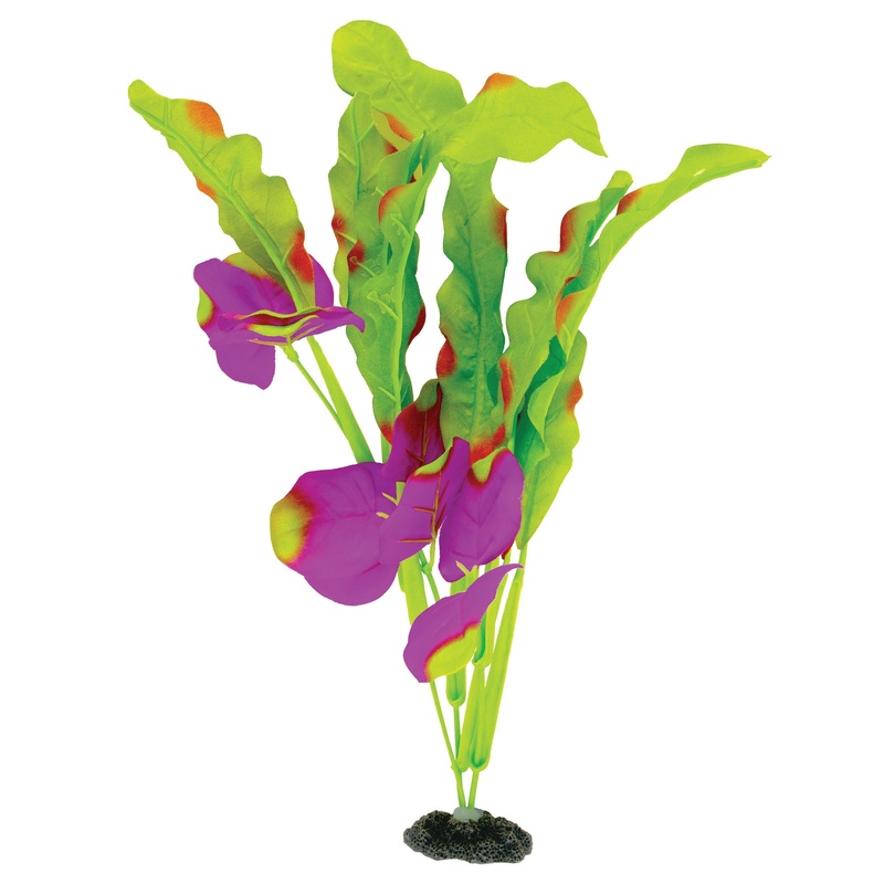 MA Nat Green/Indigo WaffleLeaf Plant Med