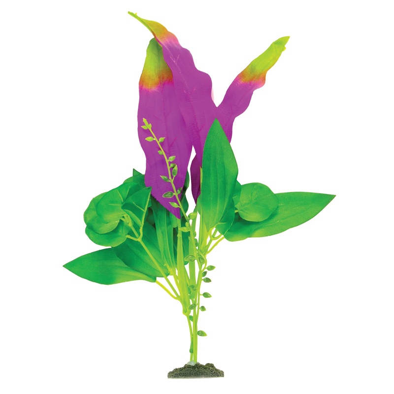 MA Nat Indigo/Green Sword Leaf Plant Med