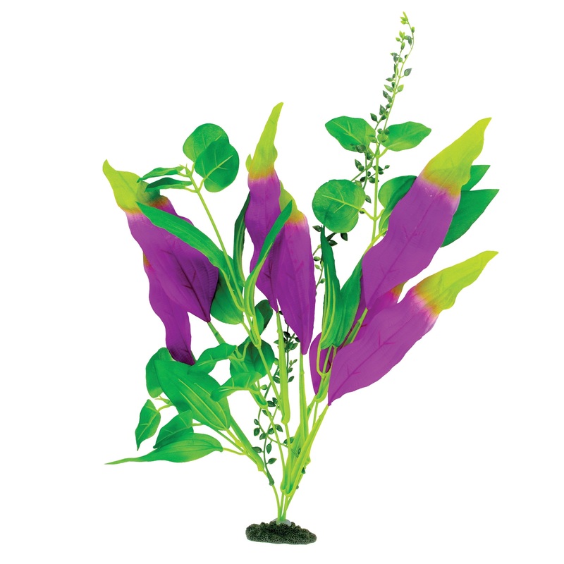 MA Nat Indigo/Green SwordLeaf Plant, Lrg