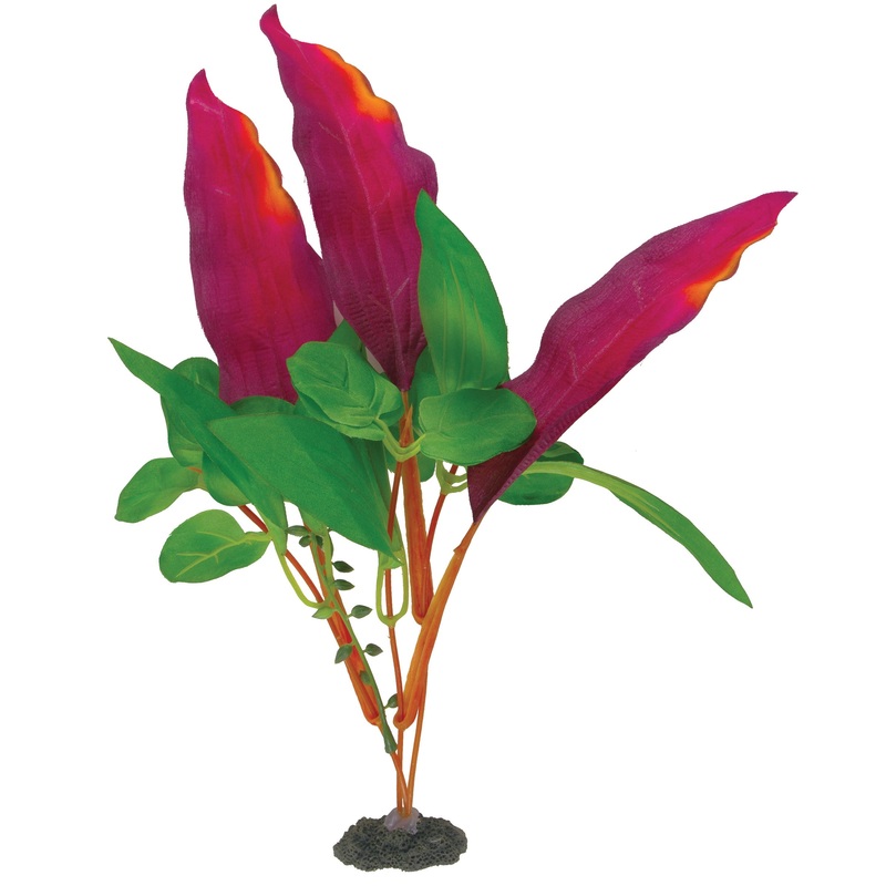 MA Nat Red/Green Waffle Leaf Plant, Med
