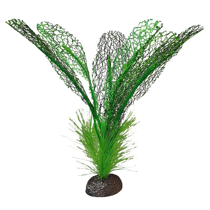 Silk Madagascar Lace Plant