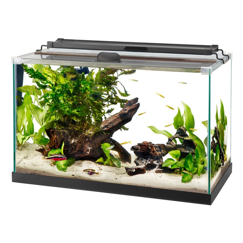 Aqueon Rimless Rectangle Aquarium 10 Gallon