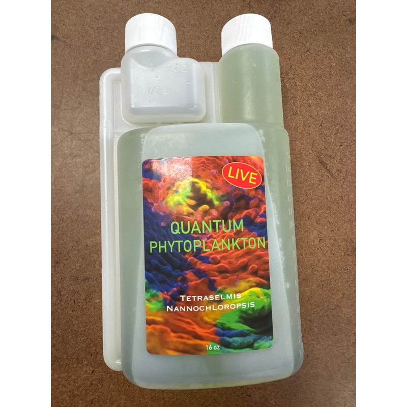 LIVE QUANTUM PHYTOPLANKTON 160Z