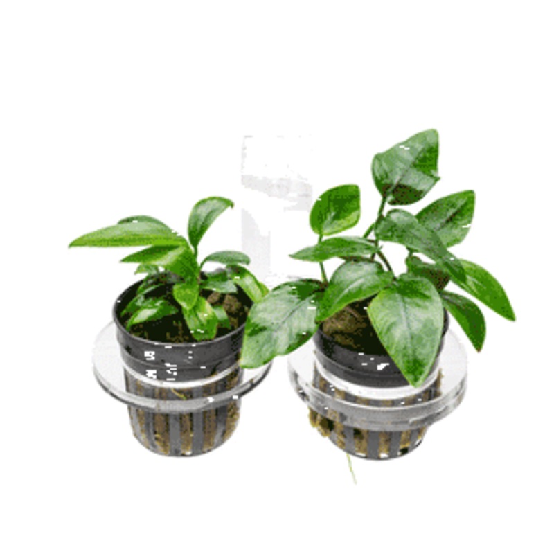 UNS Hydro Pot Holder
