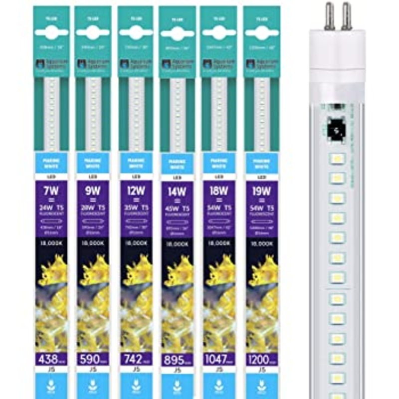 Marine White Led
