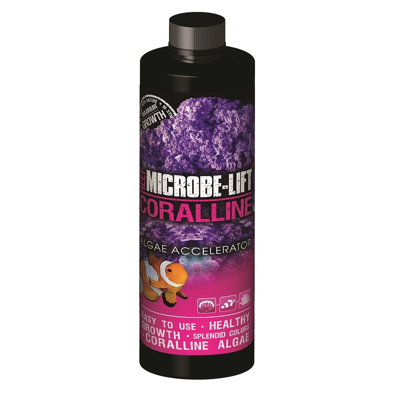 Microbe-Lift Coralline Agae Accelerator