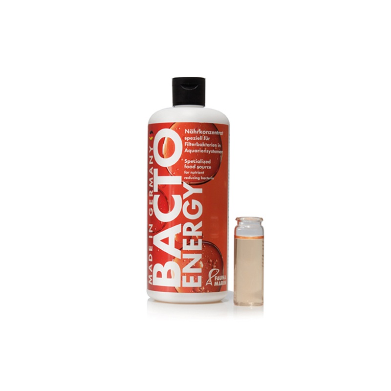 Bacto Energy