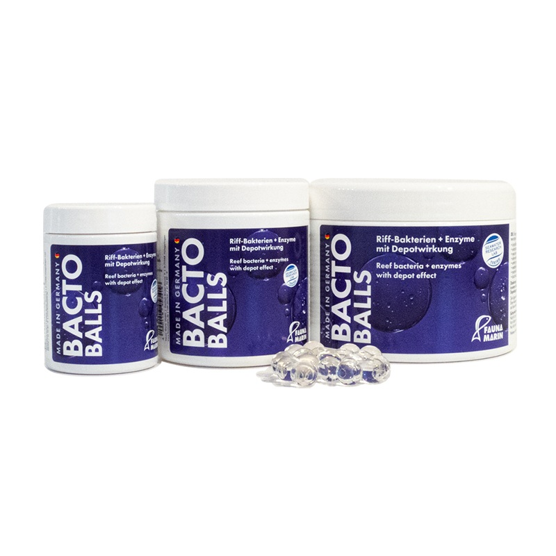 BACTO REEF BALLS