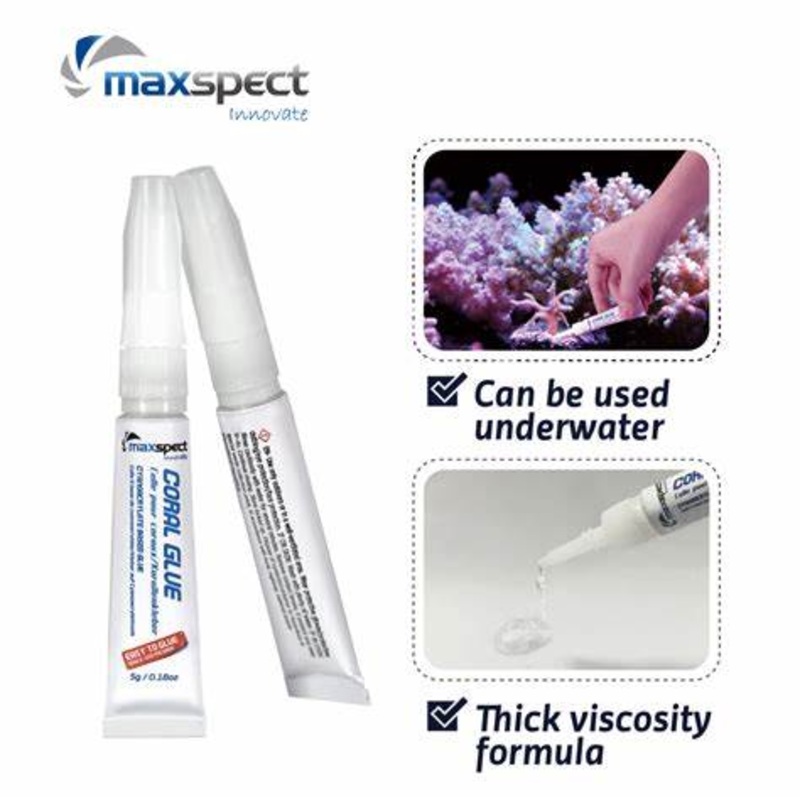 Coral Glue