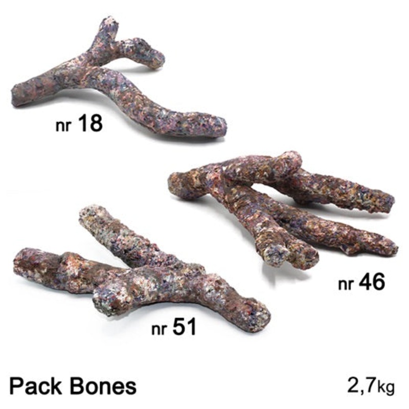 Dutch Reef Rock