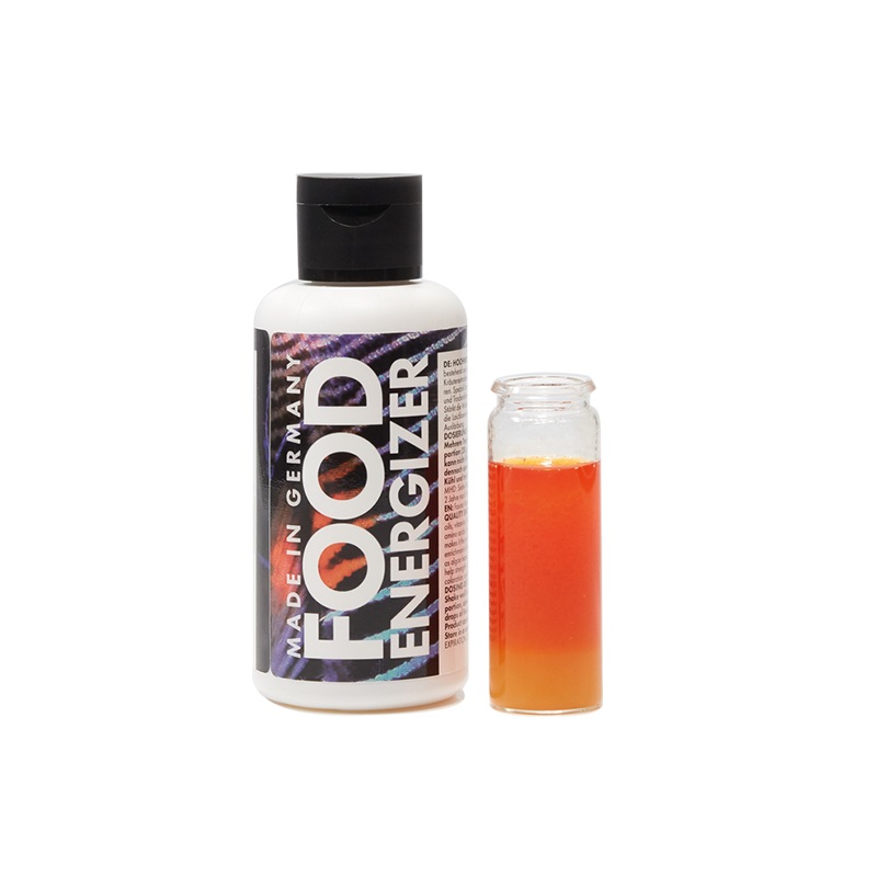 Food Energyzer