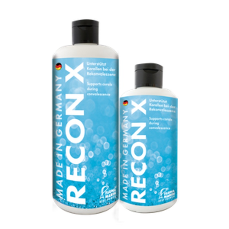 RECON X