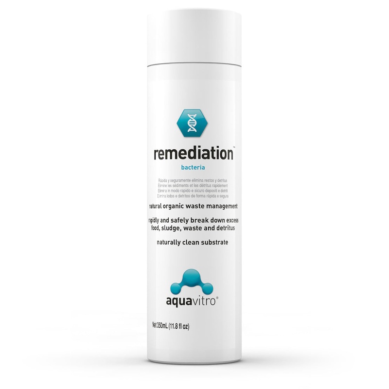 Remediation Bacteria