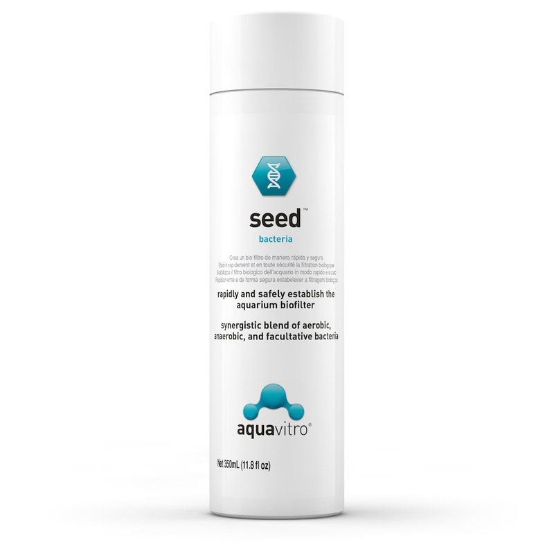 Seed Bacteria
