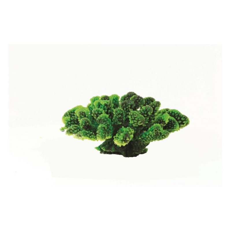 Natureform Coral Cauliflower Green/Purple Pocillopora sp. 17.5 x 16 x 7.5cm - 9780