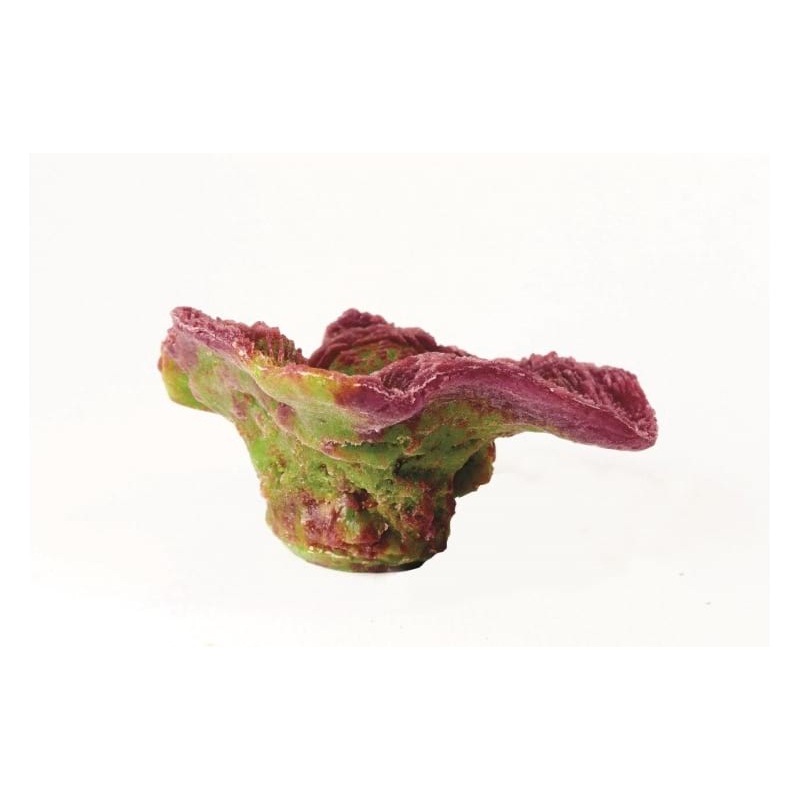 Natureform Coral Elephant Skin Pink/Green Pachyseris sp. 17.5 x 15.4 x 7.6cm-9768