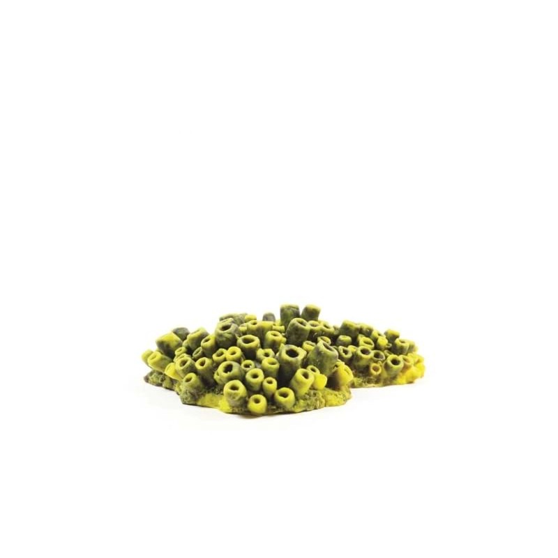 Natureform Coral Mini Tube Sponge Yellow/Purple Theonella sp. 18 x 14 x 5cm-9767