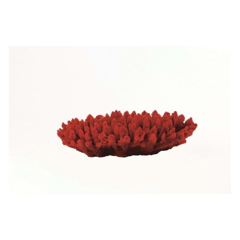Natureform Coral Staghorn Red/Purple Acropora sp. 21 x 16 x 5cm - 9778