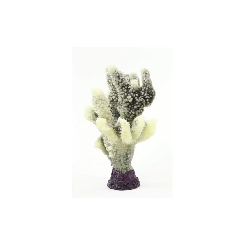 Natureform Coral Staghorn White/Green Acropora sp. 17 x 13.5 x 21.5cm - 9775