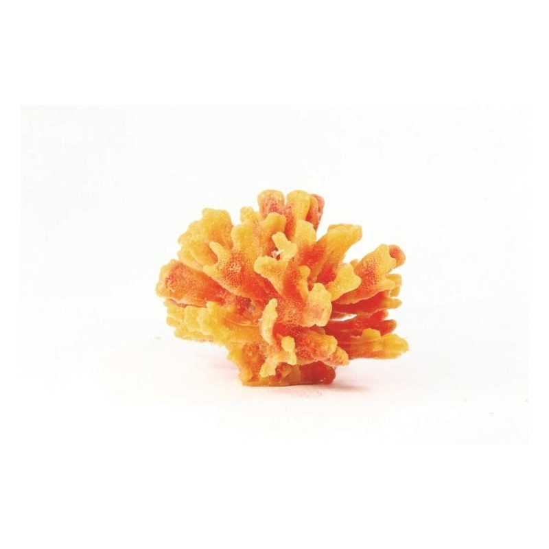 Natureform Coral Thorn Yellow/Red Stylophora sp. 13.5 x 13.5 x 10cm - 9779