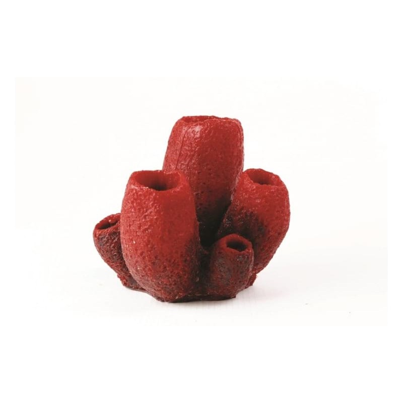 Natureform Coral Vase Sponge Red/Purple Mycale sp. 12.5 x 12 x 11cm - 9781
