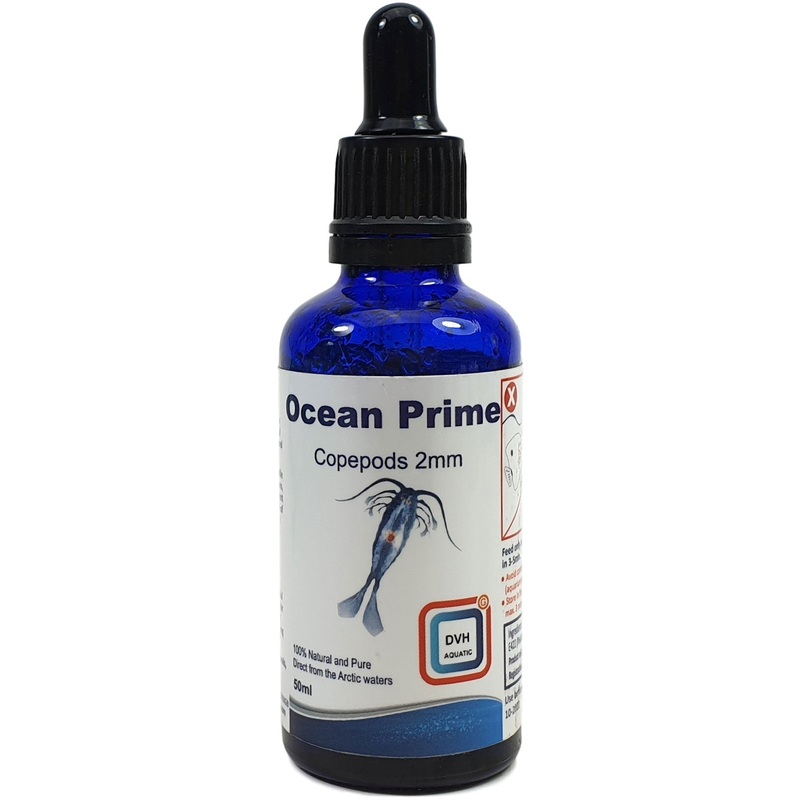 Ocean Prime Copepods
